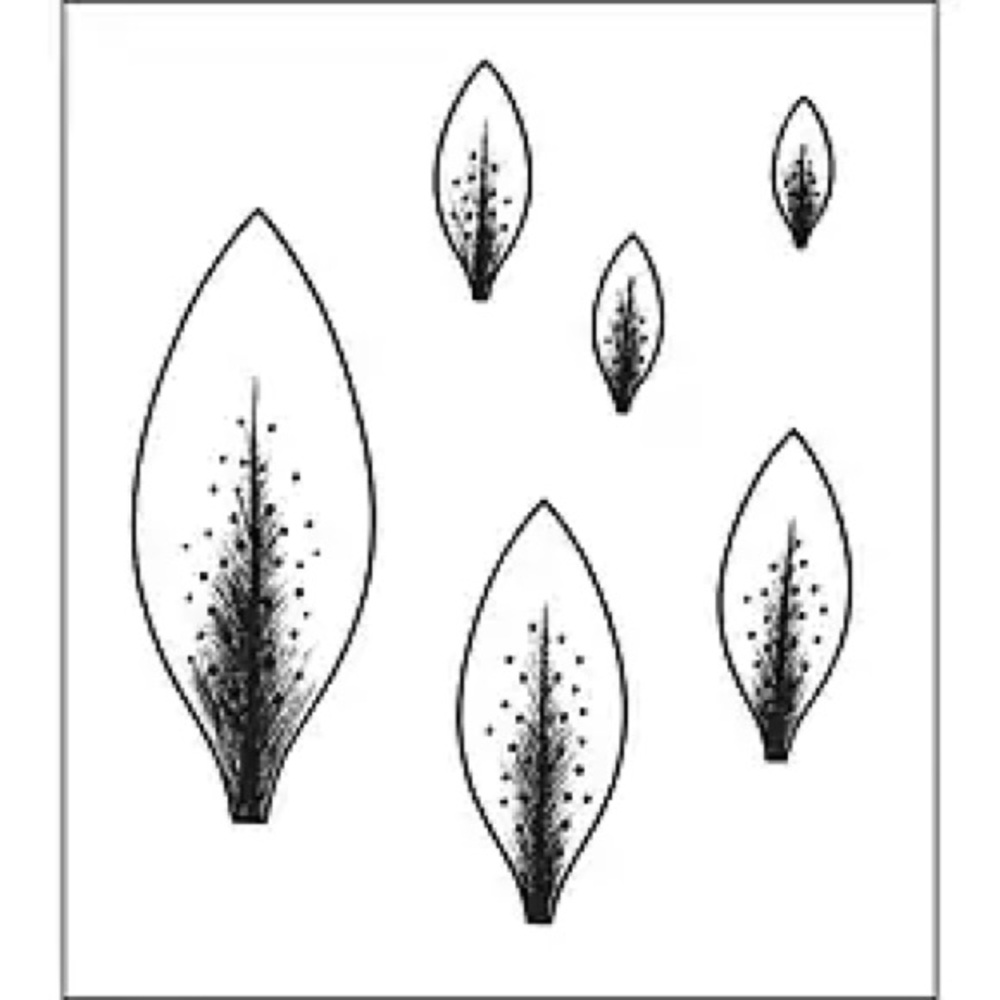 "Lily Petals" Cling Rubber Stamps by Heartfelt Creations